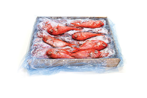 ALFONSINO-PACKAGE