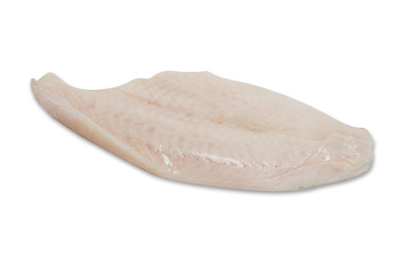 HAKE-FILLET