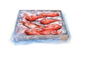 JACOPEVER-PACKAGE JACOPEVER-PACKAGE