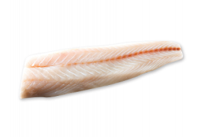KINGKLIP-FILLET KINGKLIP-FILLET